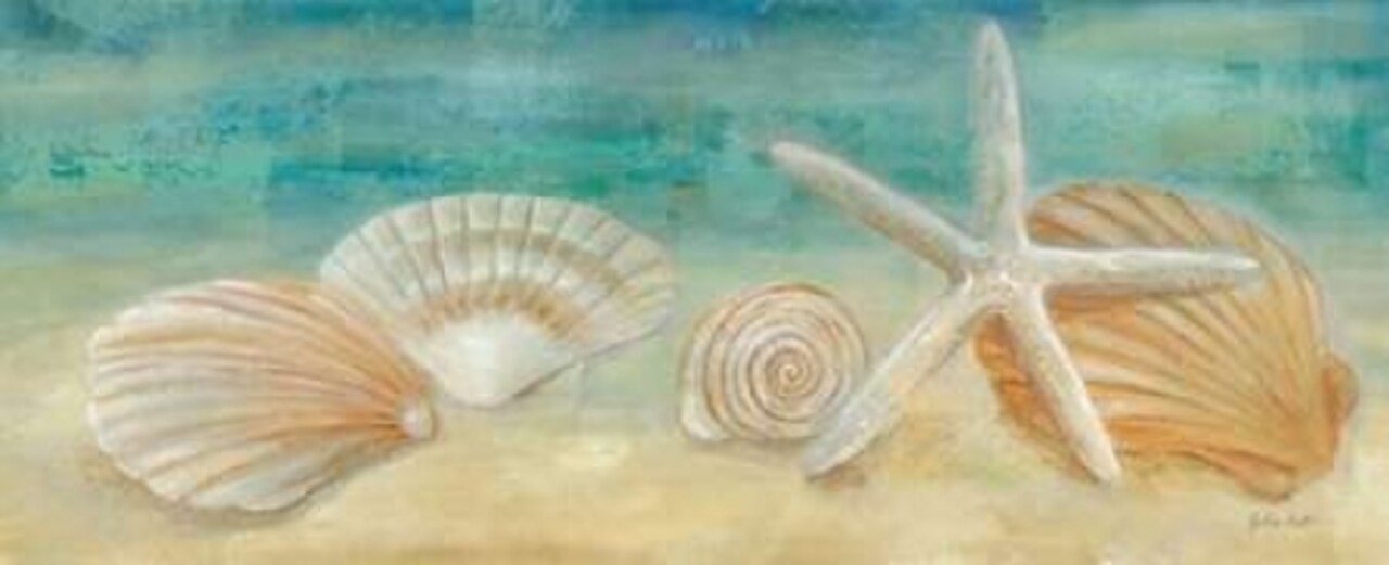 Horizon Shells Panel I Poster Print by Cynthia Coulter - Item # VARPDXRB8295CC